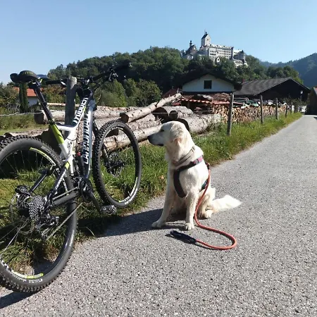 Ciao-aschau Haus Zur Burg Ap233 Julia Apartamento *